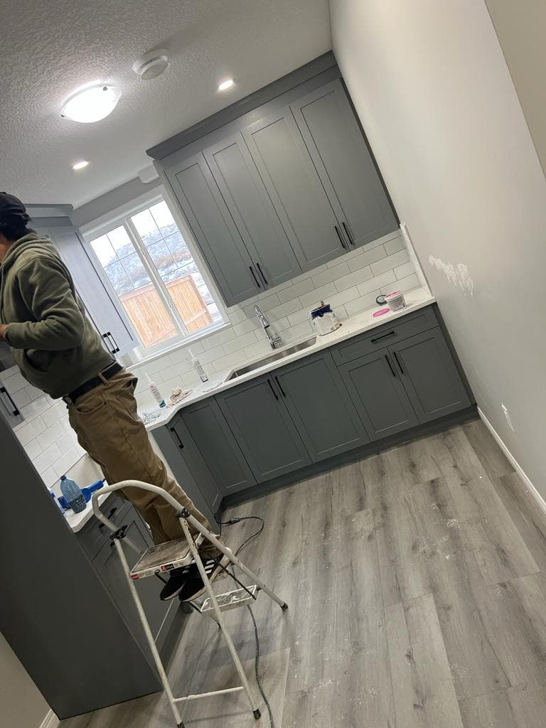 Cabinet Renovation Image 1